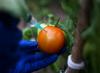 Kazakhstan and China to Jointly Develop Biopesticides
