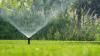 Rethinking the Modern Lawn in Northern Colorado