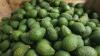 Avocados: Asian demand and new trade deals reshaping New Zealand’s exports