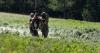 Montana Vet Program teams up with Guard, search-and-rescue crews