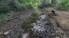 River at Surrey beauty spot runs dry after hidden blockage