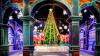 Holiday favorite 'Polar Express' returns to Gaylord Palms this year