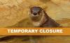 Little Rock Zoo Closes Temporarily Due to Extreme Heat