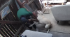 Man caught on camera taking dog from a backyard in Colorado Springs