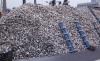 Florida dumped 500,000 tons of old shells into the Gulf, and sandy seafloors came alive