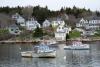NOAA report finds Gulf of Maine warming slowed for now, but ecosystem remains unstable