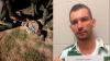 Wilkinson County deputies arrest Mississippi fugitive wanted on burglary, assault, other charges