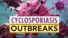 Two Oregon Cyclospora Cases May Be Linked To National Outbreak, Health Officials Say