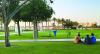 With shaded routes, walking in Doha gets cooler in summer