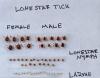 Hospital to launch Island’s first alpha-gal research center