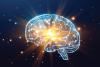 Scientists Reveal How Exercise May Protect the Aging Brain