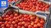 Farmers kept planting as the war raged and now they are paying for it