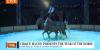 Cirque Ma’Ceo brings “The Year of the Horse” to Carson City for limited run at Fuji Park