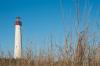 This South Jersey Place Called Most Beautiful Spot in New Jersey