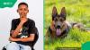 Nnete Leotlela: BackaBuddy raises R112,785 for boy mauled by 5 dogs in Maseru