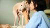 South Koreans turn to tarot for dog insights
