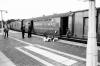 16 Thieves Engineered History’s Most Audacious Train Robbery. One Secret Remains.