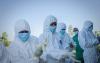 Ebola at State House: 14 staff quarantined as Ruto's Congo trip shelved over Ebola fears