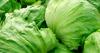 Pennsylvania linked to cyclospora outbreak traced to iceberg lettuce