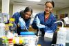 High school interns test skills in GCU's La Belle Labs