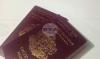 Bulgarian Passport Ranks 11th Globally in 2026 Henley Index