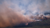 Wildfires: Spain declares national emergency, France asks EU for help