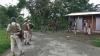 The Taxed State: How Criminal-Backed, Narco-Sustained Terrorism Is Taxing the Daily Lives of Manipur’s People