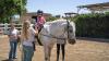 An Orange County Horse Therapy Clinic Helps Kids With Disabilities Live Better Lives