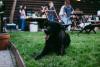 7 Top-Rated Flea and Tick Yard Treatment Companies in Atlanta (2026)
