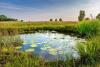 USDA Invests $3 Million for Wetland Mitigation Banking Projects to Support Producers and Protect Wetland Ecosystems