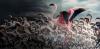 Force of Nature shows how extreme weather pushes wildlife to its limits