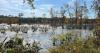 Backroad Weekly: Mingo National Wildlife Refuge