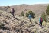 Cheatgrass is invading the best sagebrush left in the West. How can Wyoming hold the line?