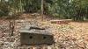 Ta Thnu Temple: an Angkorian Holy Place’s Fading Pulse