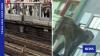 Off the rails: Monkey trouble disrupts Hong Kong’s MTR for second day in a row