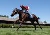 P. G. Johnson or Kentucky Downs Juvenile Fillies Up Next for Impressive Debut Winner Conflict