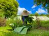 PARADISE INTERRUPTED | The story behind the statistic: Before we blame the farmer