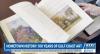 Hometown History: 100 years of Gulf Coast Art Association