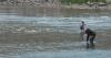 Game and Fish asks anglers to adjust fishing practices for dry, hot weather