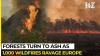Tens of thousands forced to leave their homes as wildfires spread across France and Spain