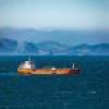 Shipping's 2030 Zero-Emission Fuel Target at Greater Risk: Report