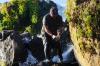 Oregon initiative that would have banned most killing of animals won’t be on November ballots