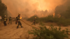 Europe wildfires: France evacuates 40,000 as Spain and Italy battle blazes