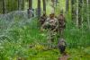 Ukraine is still fortifying its border with Belarus years after Russia invaded from there