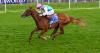 Music and racing combine for spectacular Saturday at York Racecourse