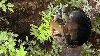 PHOTOS: Dog rescued from abandoned mine shaft, Yancey County Sheriff’s Office says On Thursday, July 23, a dog that had fallen into an abandoned mine shaft in western North Carolina was rescued, the Yancey County Sheriff's Office said.