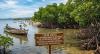 International Day for the Conservation of the Mangrove Ecosystem: a call to protect coastal forests