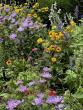 On Gardening: Next year’s garden will be Forged in Fire