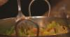 How cyclospora outbreak impacts the food industry