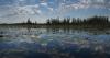 Georgia’s Okefenokee Swamp is now a UNESCO World Heritage site